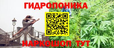 индика Янаул